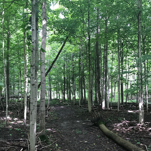 Deer Ridge Conservation Area