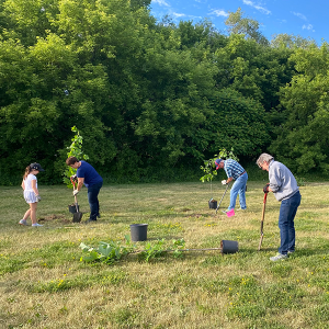 Tree Planting Rotary Club