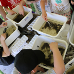 Childrens Water Festival
